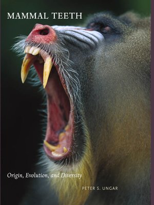cover image of Mammal Teeth